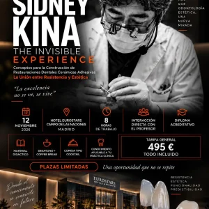 Master Conference - Sidney Kina - The Invisible Experience